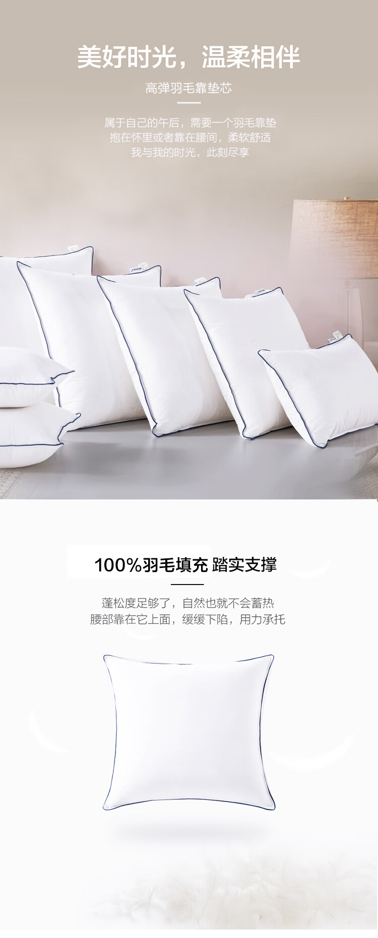 羽毛抱枕芯45-750_01.jpg