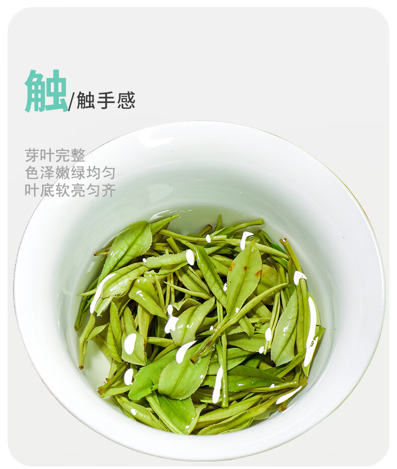 正声安吉春茶白茶清香型绿茶新茶叶明前凤羽口粮散装国风罐装80g