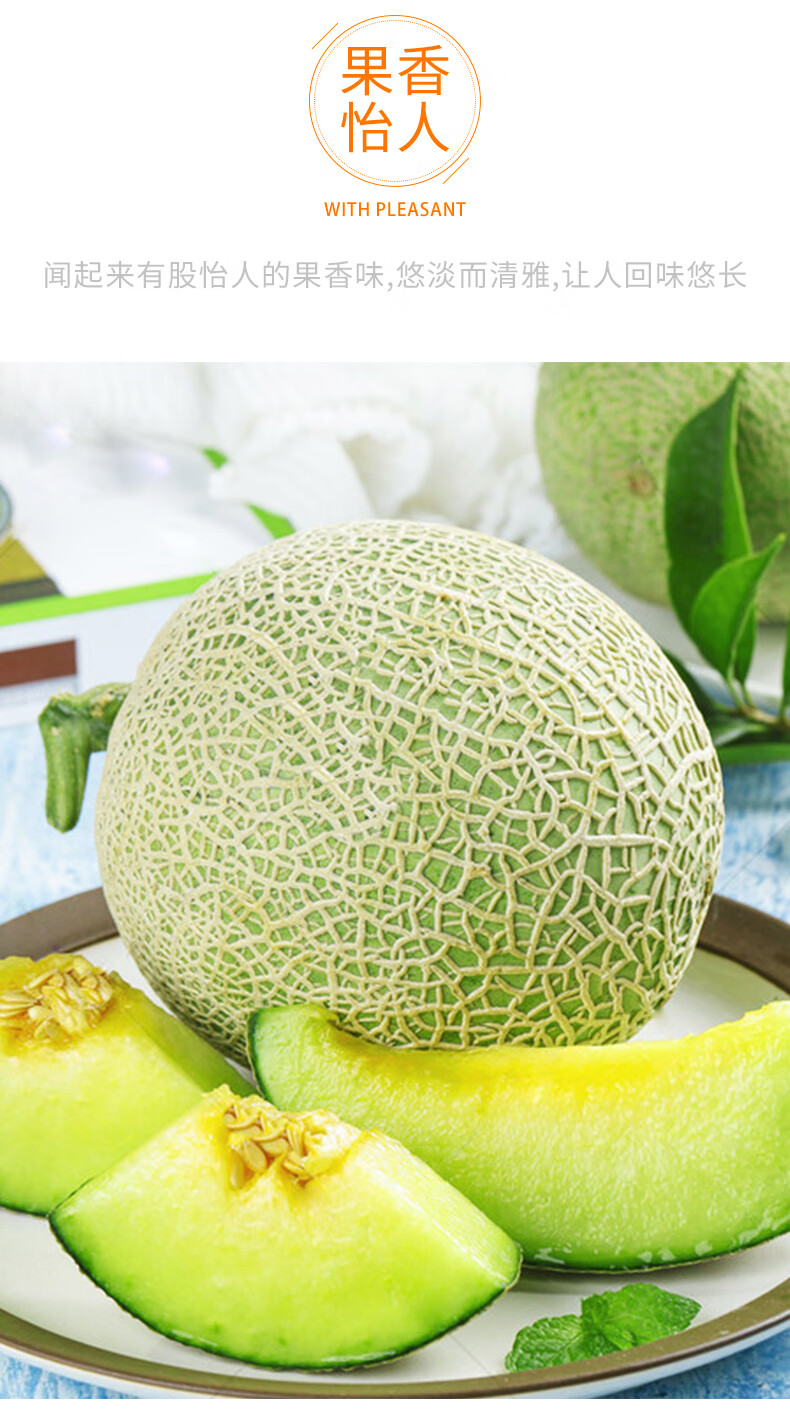 寻味君 海南玫珑网纹蜜瓜 玫珑瓜 新鲜水果 试吃2斤(1个装)