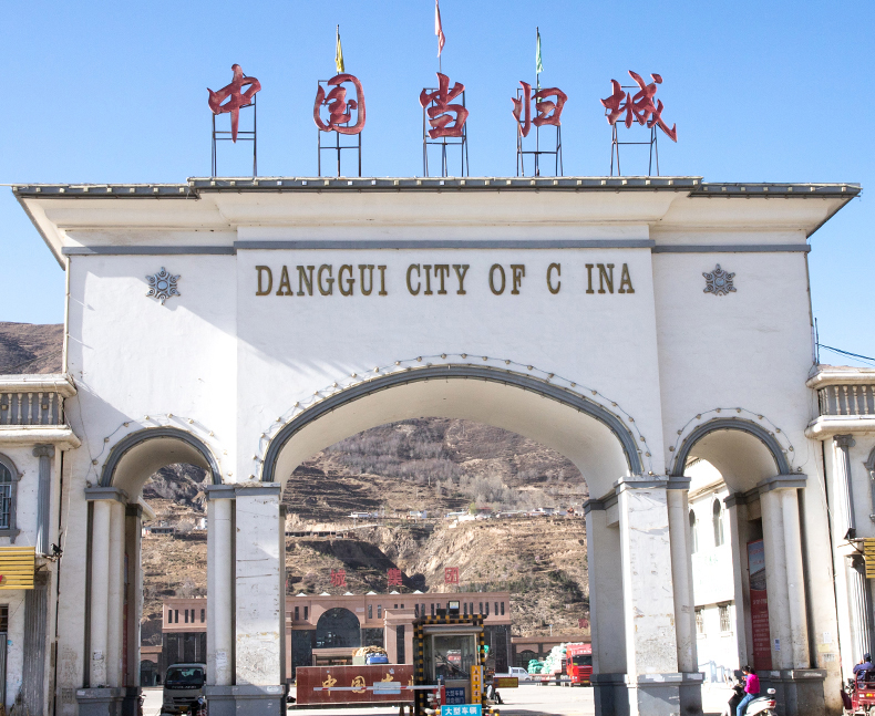 聚和泰 岷县全当归整根 可代切片整枝当归片黄芪中药材 整枝当归500克