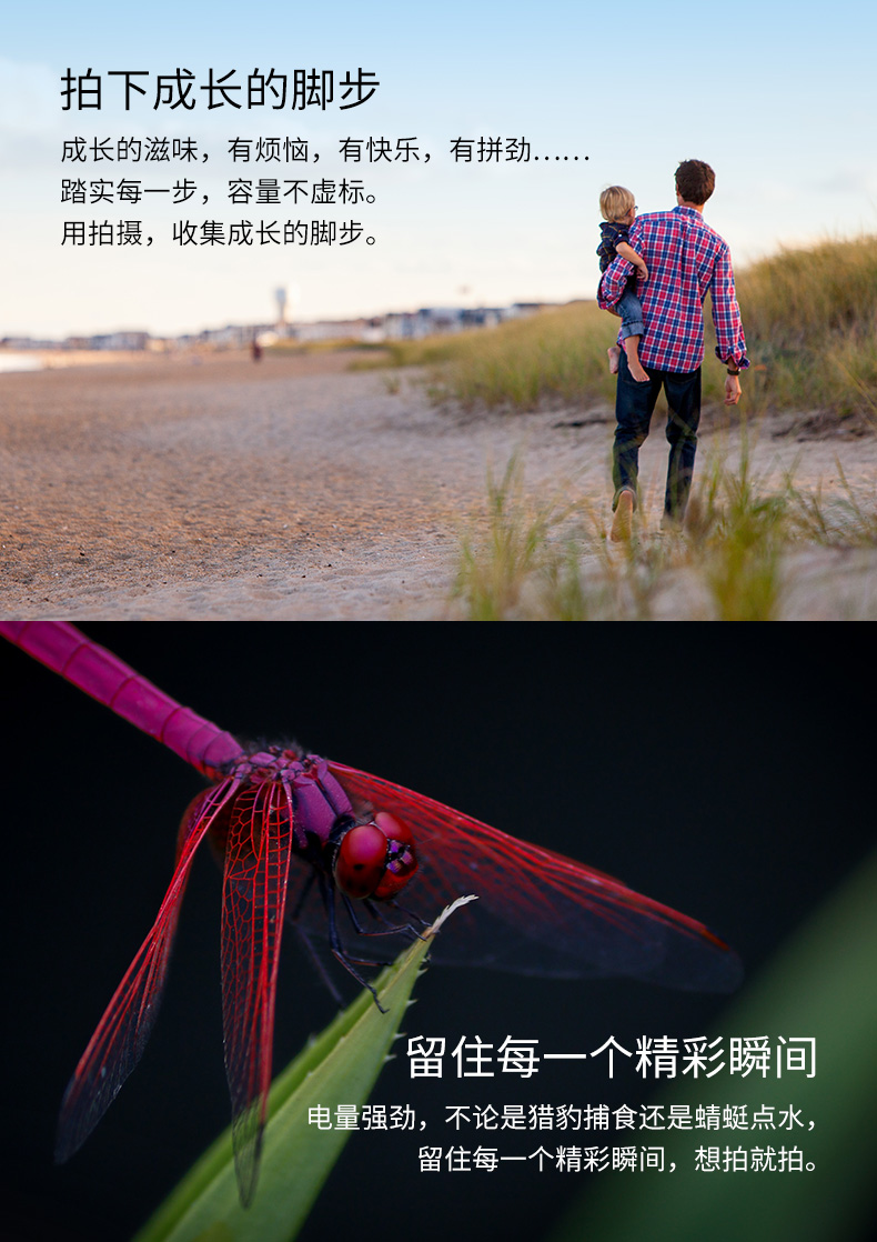 FB沣标 U系列 Z280专业摄像机电池 适用于索尼FX6 FS7 FS5 Z190 X280 BP-U60（4450mAh）
