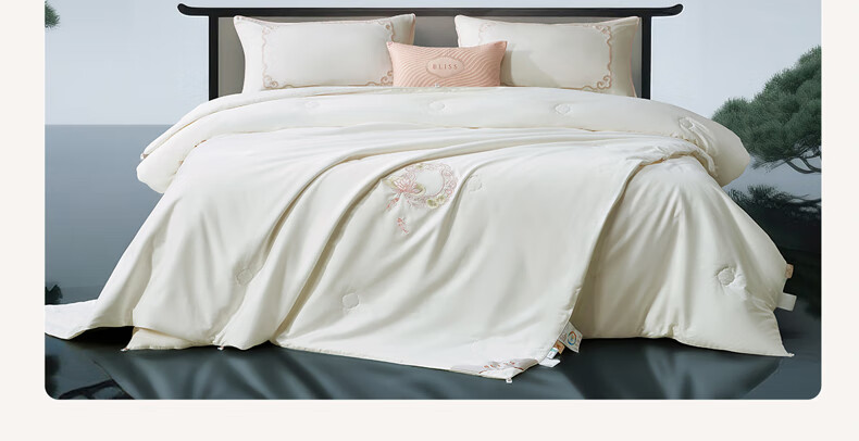 Bellees Home Textile 100% Mulberry Silk Quilt Double-layer 60S Cotton Class A Antibacterial 2-in-1 Quilt 150x210cm 27
