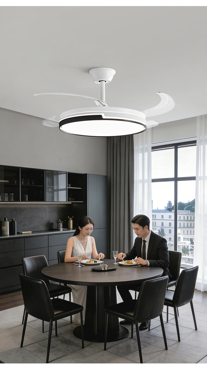 HP Precision Fan Light LED Invisible Ceiling Fan Light Variable Frequency High CRI Minimalist Dining Bedroom Living Room Remote Control 42 Inch 17