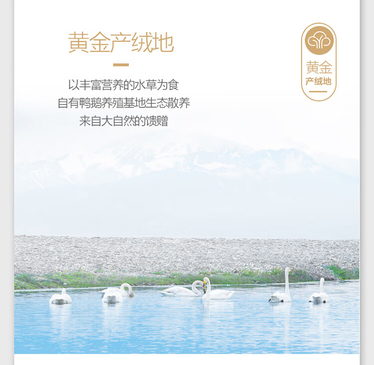 白白白白_07.jpg