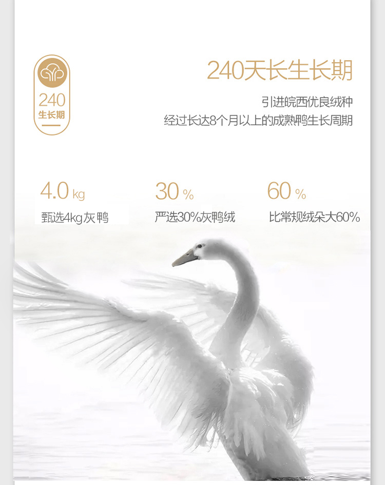 白白白白_05.jpg