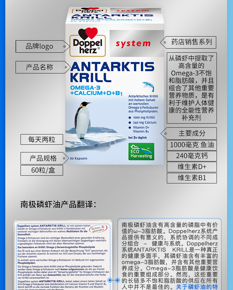 南极磷虾_11.jpg