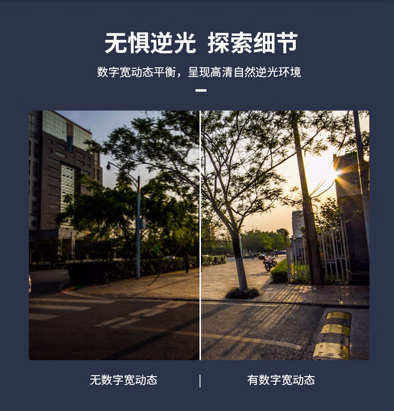 4443T-A_09.jpg.avif