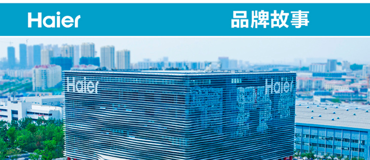 
                                                            海尔（Haier）4.1KW鸳鸯火 不锈钢嵌入式燃气灶（天然气）JZT-QE3G(12T)                