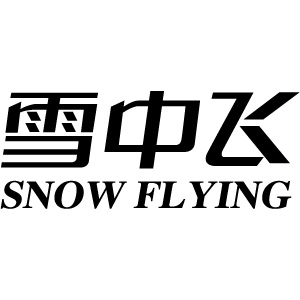 雪中飞衣服logo图片