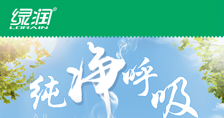 
                                        
                                                            绿润活性炭6000g除甲醛快速去吸除新车新房装修室内三居室去除吸灭臭净化异味竹炭包防潮干燥除湿袋活性炭包                