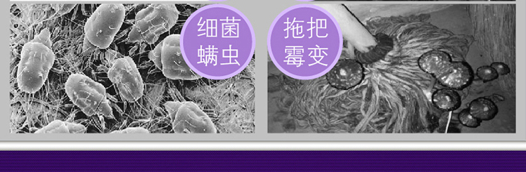 
                                小田（Xiotin）蒸汽拖把 7335CH-1 轻薄静音/除尘去污/杀菌除螨 深层洁净（金属灰高度可调）            