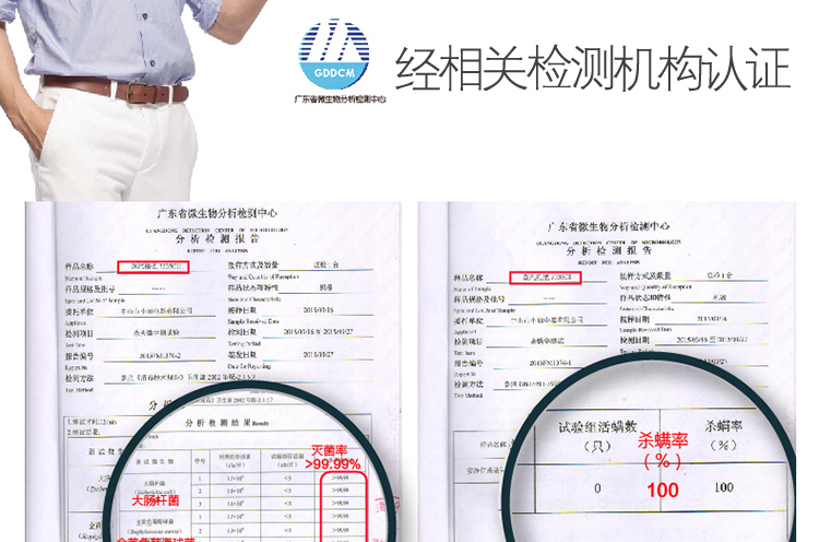 
                                小田（Xiotin）蒸汽拖把 7335CH-1 轻薄静音/除尘去污/杀菌除螨 深层洁净（金属灰高度可调）            