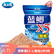 龙王恨（LOONVA） 鱼饵 野战蓝鲫X5休闲野钓腥香饵料 四季鲫鱼鲤鱼草鱼老三样窝料 蓝鲫X5【腥香】300g/1包