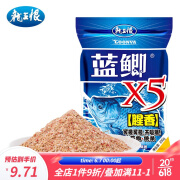 龙王恨（LOONVA） 鱼饵 野战蓝鲫X5休闲野钓腥香饵料 四季鲫鱼鲤鱼草鱼老三样窝料 蓝鲫X5【腥香】300g/1包