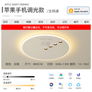 创意过道走廊灯简约现代led吸顶灯长条客厅2025新款卧室玄关灯具 圆形直径60CM苹果手机智能调光