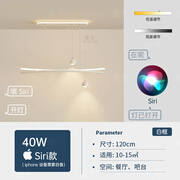 RSRDDY定制光餐厅吊灯现代简约led灯感饭厅灯创意餐桌灯2024新款灯具 白框-AL902-120CM-苹果手机智能