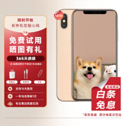 【第三方屏幕】Apple iPhone XS MAX 苹果 xs 苹果 xsmax 4G全网通 苹果xsmax【金色】 95成新 256G 第三方屏幕【三期免息】