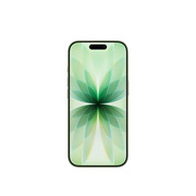 Apple/苹果 iPhone 17 512GB 鼠尾草绿色 支持移动联通电信5G 双卡双待手机