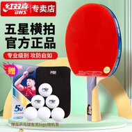 红双喜DHS狂飚五星乒乓球拍横拍反胶弧圈结合快攻H5002含拍包