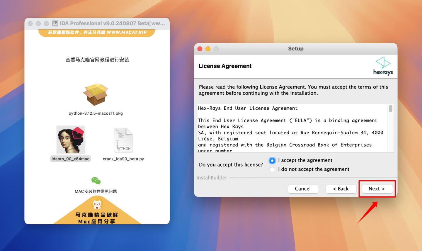 IDA Professional for mac v9.0.240807 Beta版 反汇编逆向神器