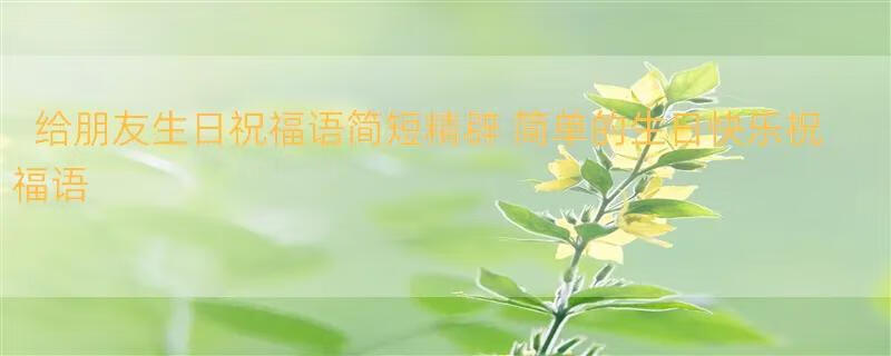 给朋友生日祝福语简短精辟 简单的生日快乐祝福语