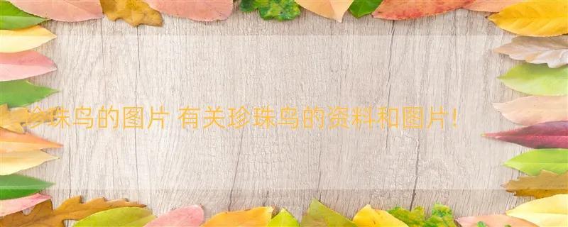 珍珠鸟的图片 有关珍珠鸟的资料和图片!