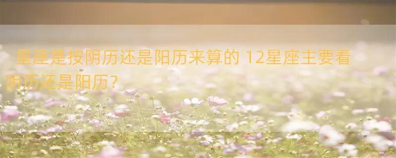 星座是按阴历还是阳历来算的 12星座主要看阴历还是阳历？