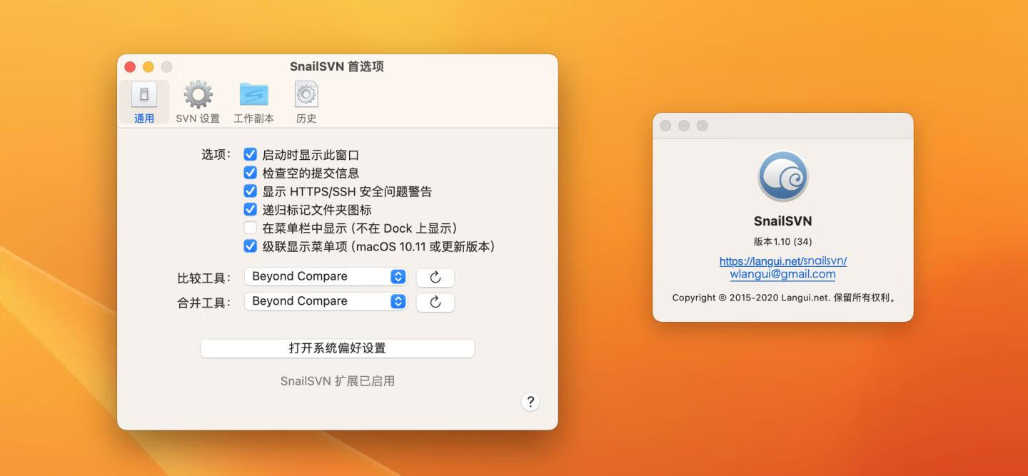 SnailSVN Pro for mac v1.10免激活版 SVN客户端