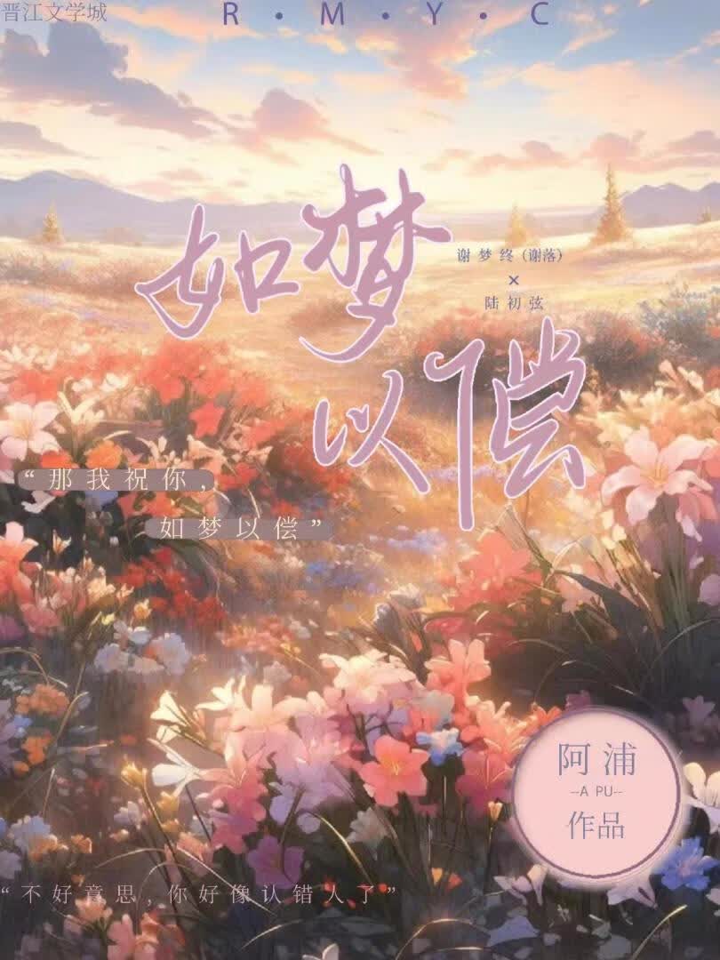 如梦以偿