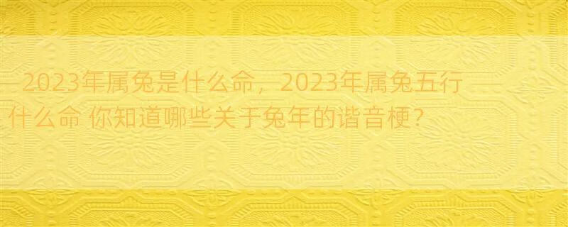 2023年属兔是什么命，2023年属兔五行什么命 你知道哪些关于兔年的谐音梗？