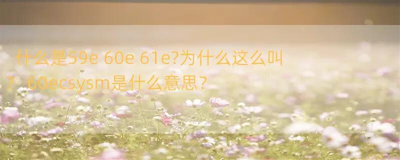 什么是59e 60e 61e?为什么这么叫？ 60ecsysm是什么意思？