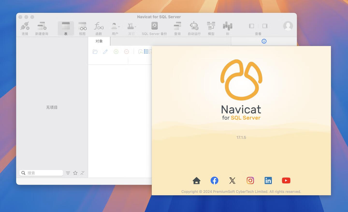 Navicat for SQL Server for mac v17.1.5 汉化版 数据库管理工具