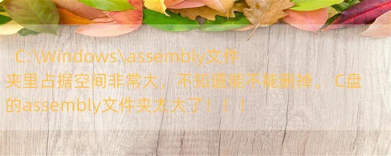 C:\Windows\assembly文件夹里占据空间非常大，不知道能不能删掉。 C盘的assembly文件夹太大了！！！