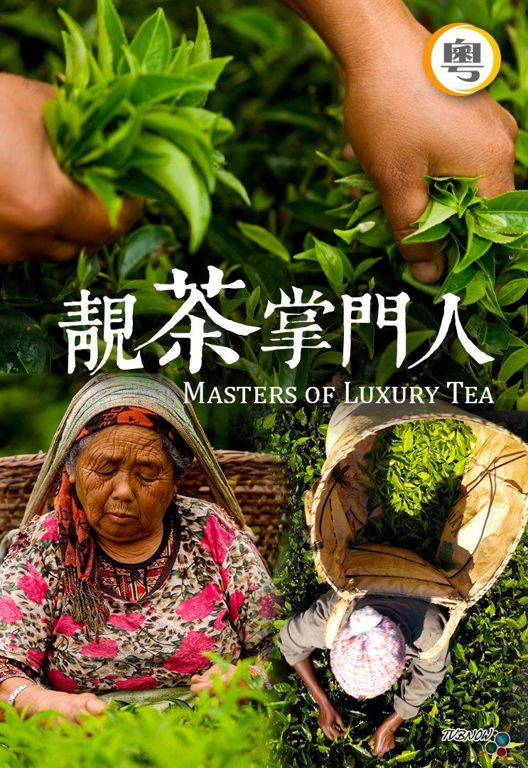 靓茶掌门人