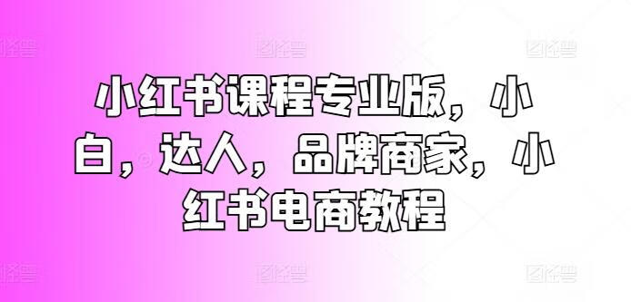 亿起电商小红书课程专业版，小白，达人，品牌商家，小红书电商教程