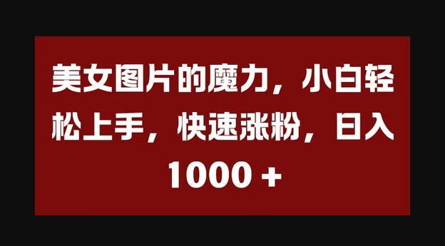 美女图片的魔力，小白轻松上手，快速涨粉，日入几张-666资源网