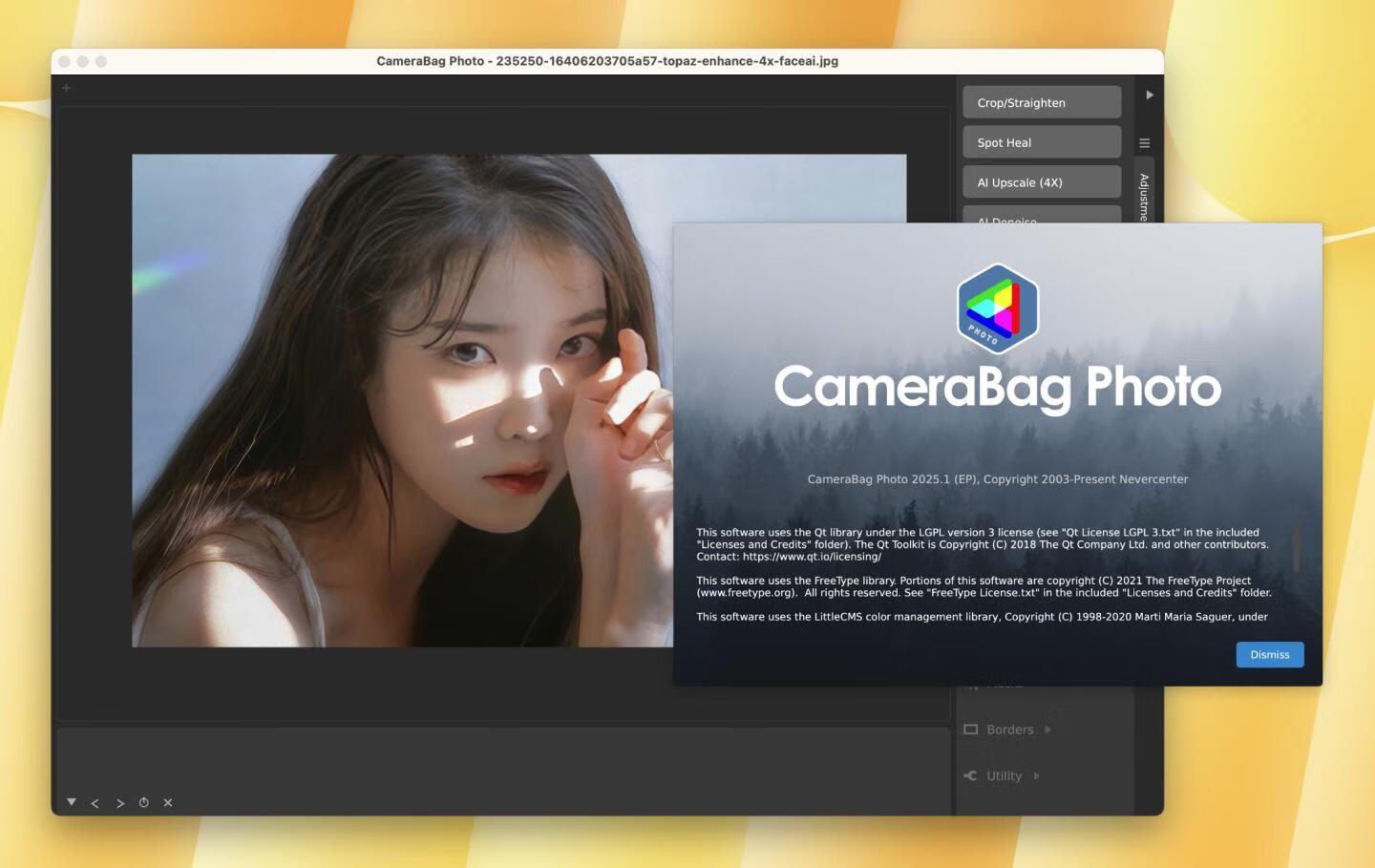 Nevercenter CameraBag Photo for Mac v2025.1.0激活版 照片滤镜美化软件