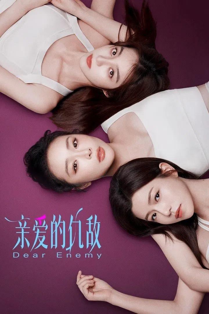 亲爱的仇敌(2025)更8集