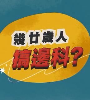 几廿岁人搞边科？
