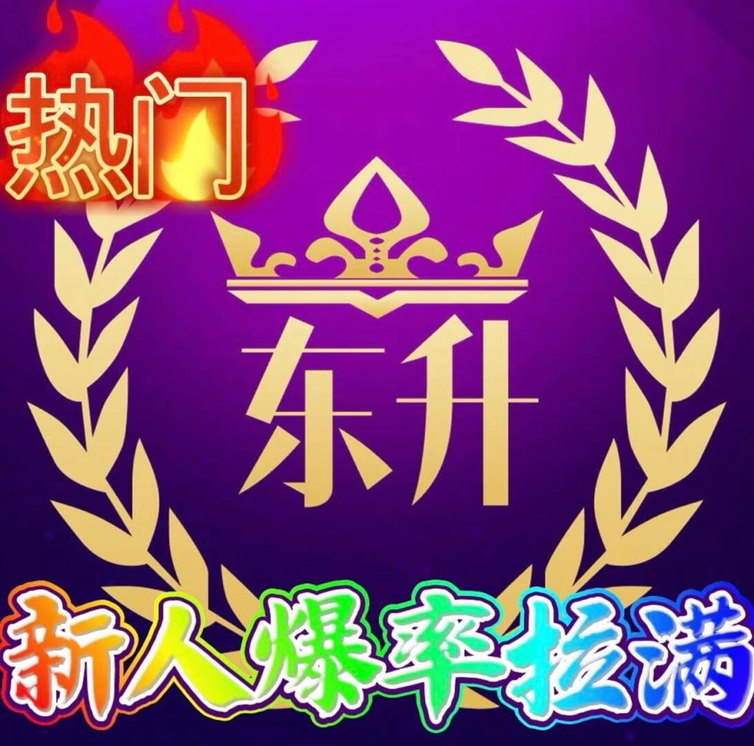 东升国际