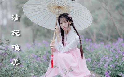 半藏森林》