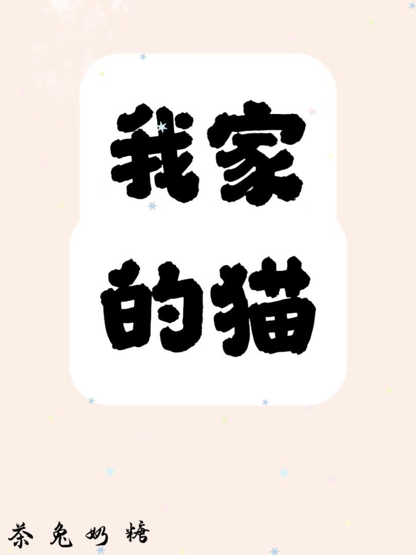 我家的猫