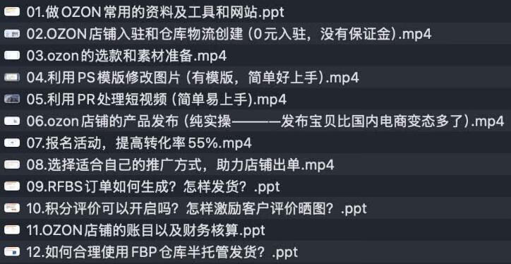 俄罗斯跨境OZON快速上手，OZ0N跨境电商运营实战课，俄罗斯市场全攻略