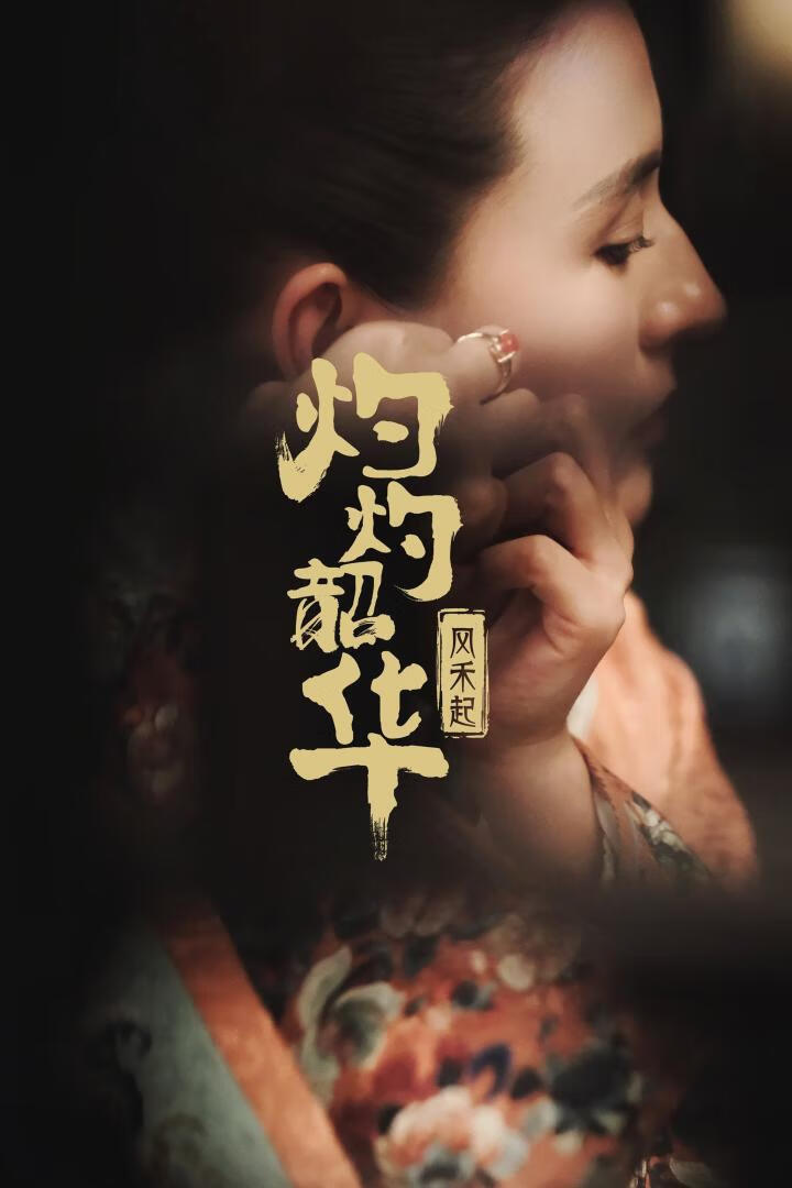 灼灼韶华(2025)全38集