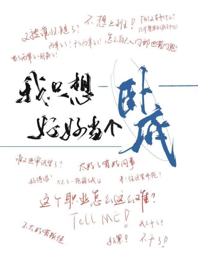 我只想好好当个卧底 封面