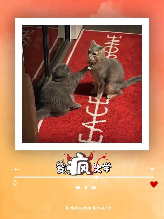 【娱乐圈】发疯文学，了解一下