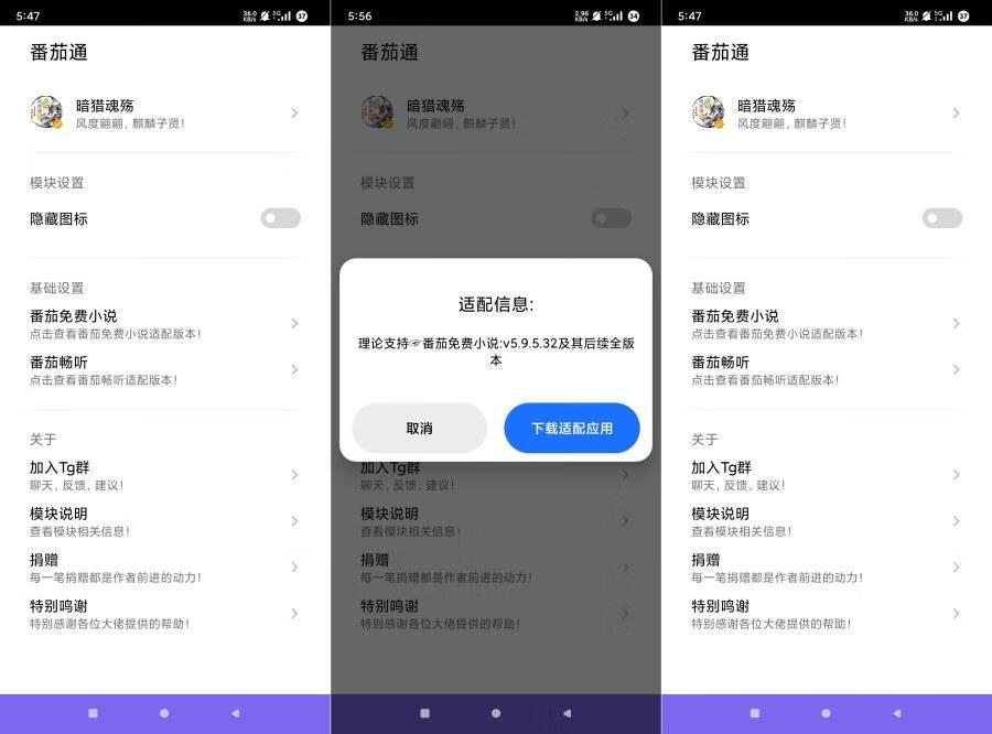 番茄通1.0.6番茄小说番茄畅听VIP解锁模块