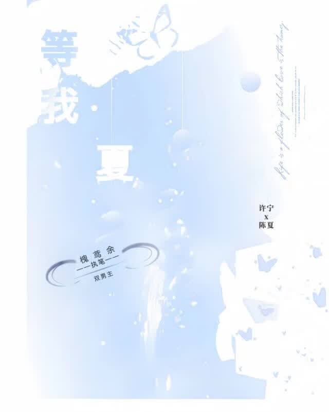 等我夏 封面