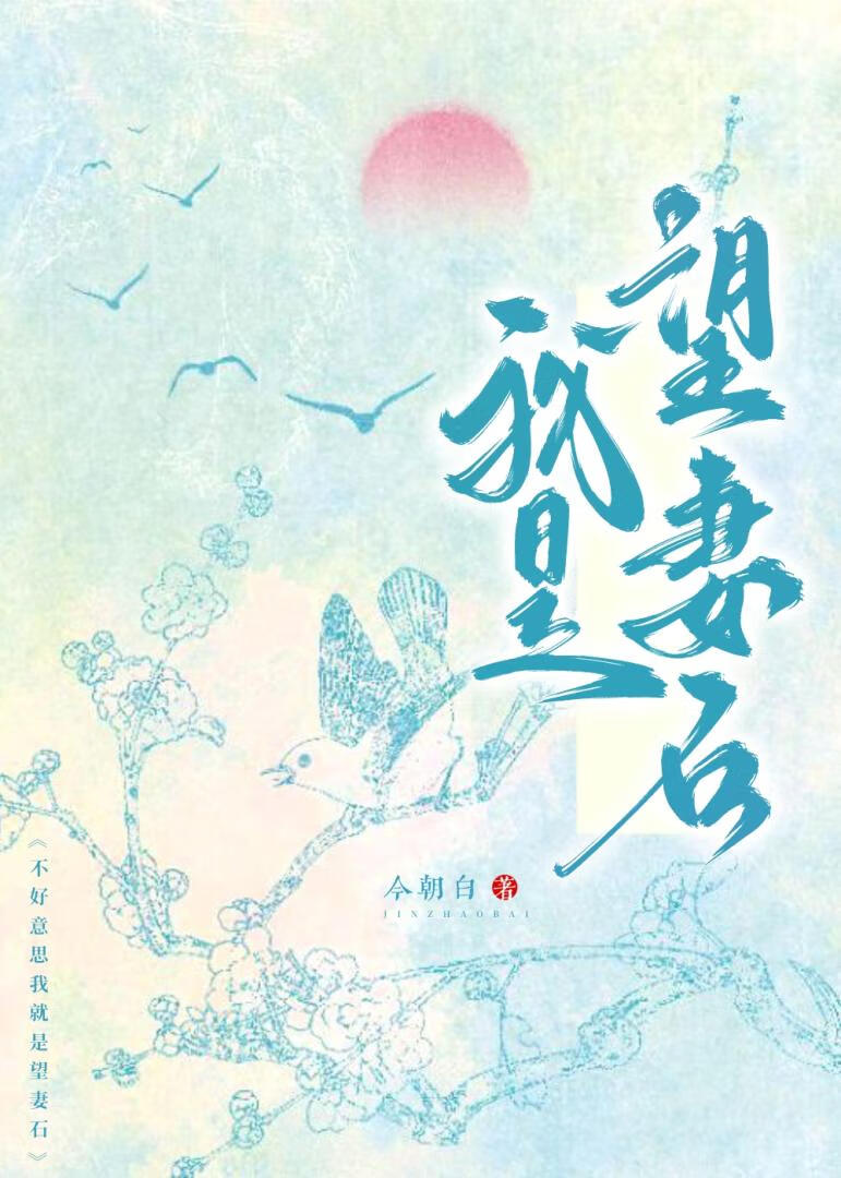 不好意思，我就是望妻石