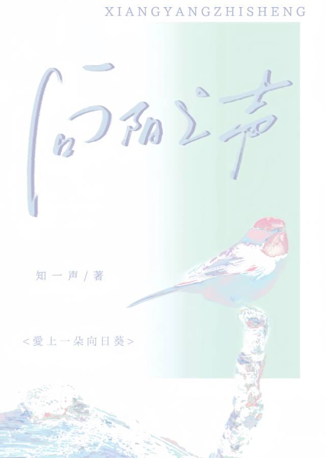 向阳之声
